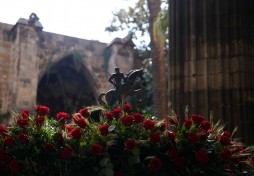 Font de Sant Jordi I Catedral de Barcelona