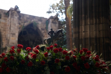 Font de Sant Jordi I Catedral de Barcelona
